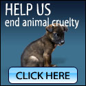 Click to Give