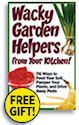 Organic Gardening